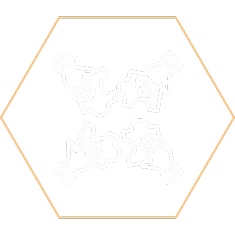 Build The Hive